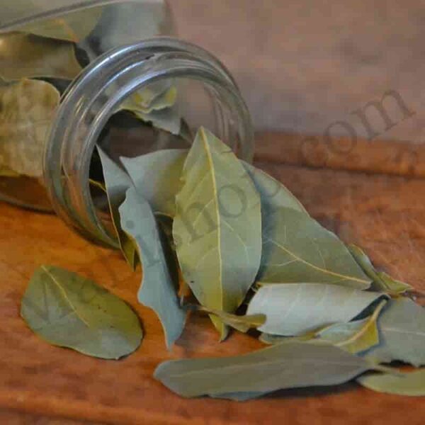 Laurel Leaf Essential Oil